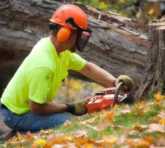 tree services Stevensville